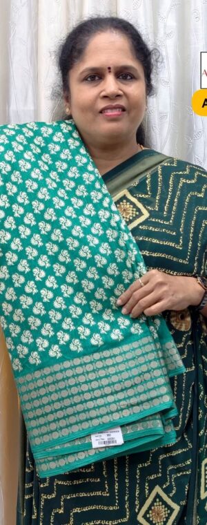 Sea Green Color Chiffon Saree | ASE648
