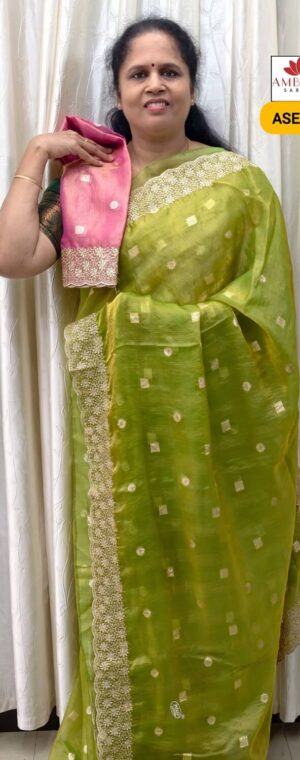 Light Green Color Designer Embroidery Saree | ASE569